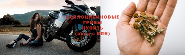 амф Абинск