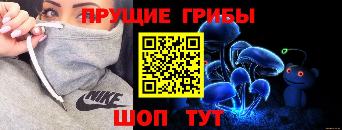Псилоцибиновые грибы MAGIC MUSHROOMS  Вход с VPN  Псилоцибиновые грибы прущие грибы  Павловский Посад 